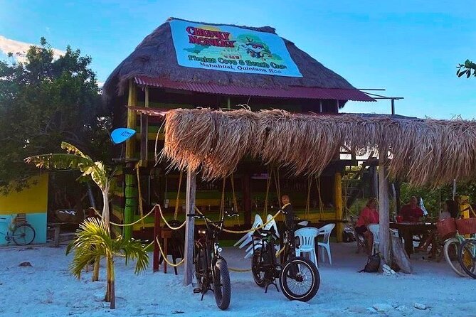 Costa Maya Private Guided E-Bike Tour - Tour Overview