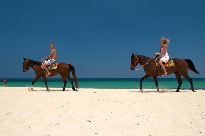 Cozumel Beach Horseback Riding Tour - Tour Details