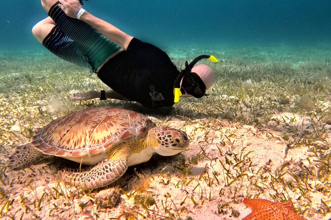 Cozumel Private Snorkeling and Charter Experience - Pricing and Booking Details