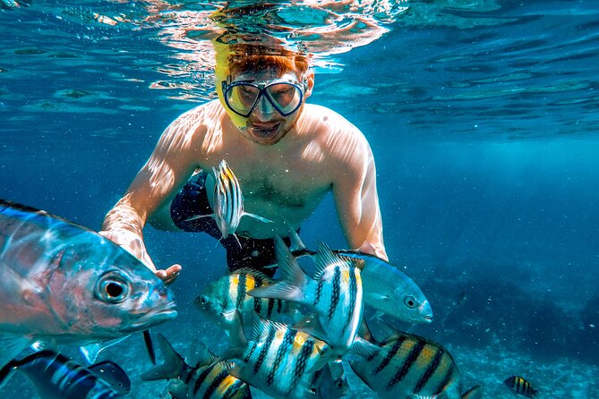 Cozumel Reefs Snorkeling Tour - Tour Confirmation and Accessibility