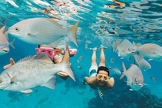 Cozumel: Small Group Glass Bottom Boat Snorkeling Tour - Tour Details