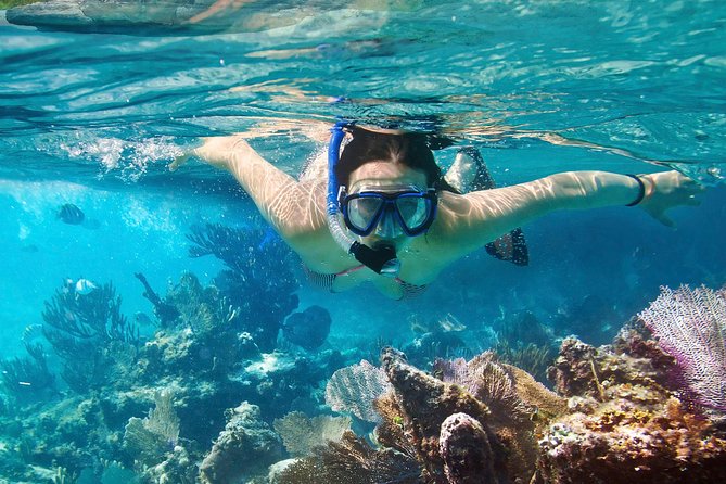 Cozumel Snorkeling Tour: Palancar, Columbia and Cielo Reefs - Tour Logistics and Organization