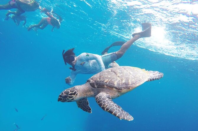 Cozumel Snorkeling Tour: Palancar, Columbia and El Cielo Reefs - Tour Overview