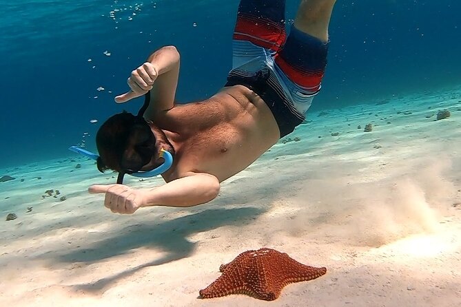 Cozumel Snorkeling Tour: Starfish, Stingrays and the Turtle Bay Experience - Tour Confirmation and Logistics