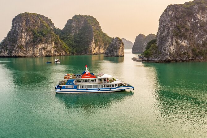 Cozy Bay 5 Star Cruise Luxury Halong Day Trip With Buffet Lunch - Cruise Highlights