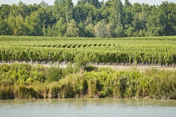 Crazy Luxury Wine Tour "Choose Among 2 Days" - Cancellation Policy