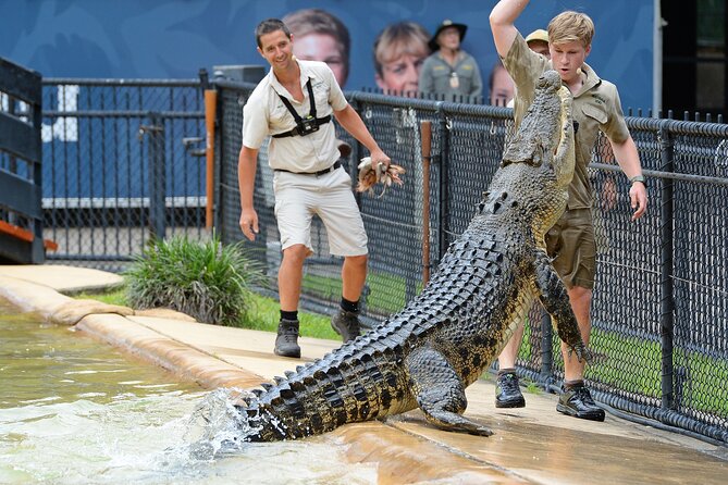 Croc Express to Australia Zoo From Brisbane HB7 - Overview of the Croc Express Tour