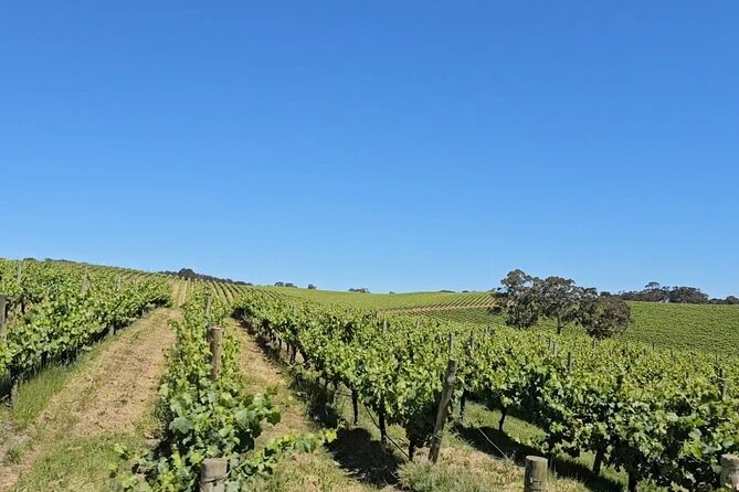 Cuddle a Koala and Historic Hahndorf Tour - Exploring Historic Hahndorf
