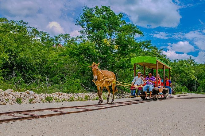 Cuzama Cenotes Adventure Day Trip - Cenotes Visit