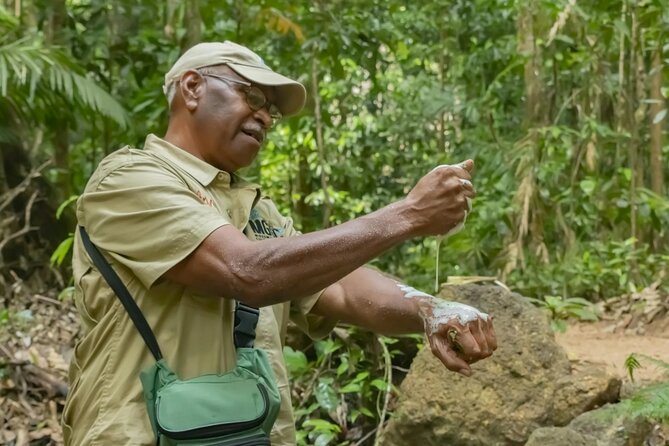 Daintree Rainforest, Mossman Gorge & Beach Day Tour W/Aboriginals - Tour Highlights