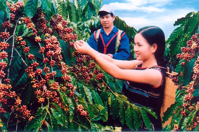 Dalat Private Tour Package in 2 Days - Tour Duration