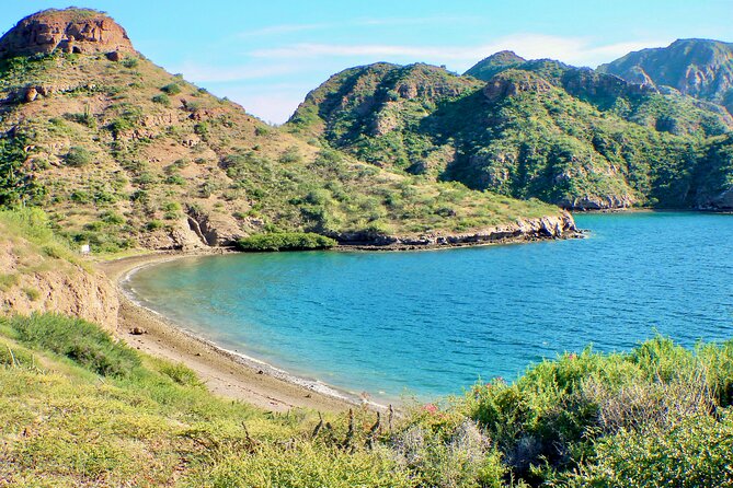 Danzante Island and Snorkel Tour From Villas Del Palmar Hotel - Tour Duration and Schedule
