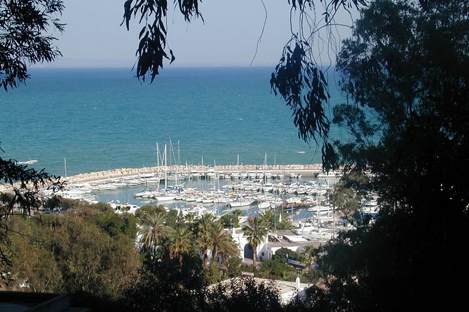 Day Full Carthage _Sidi Bou Said _Museum of Bardo and the Medina of Tunis - Sidi Bou Said: Charming Blue and White Village
