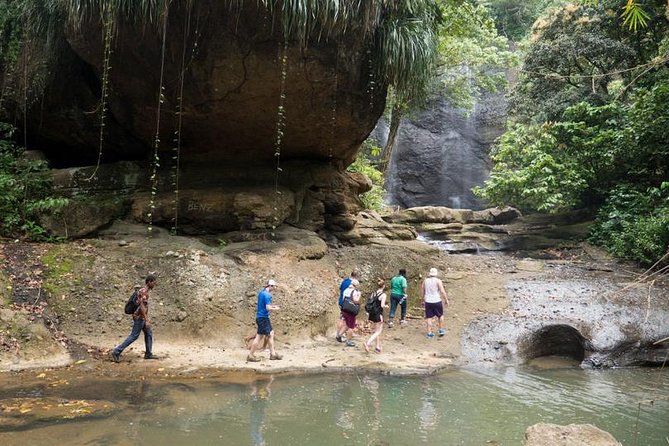 Day of Adventure - Zipline and Hike or Bike - Pricing and Booking