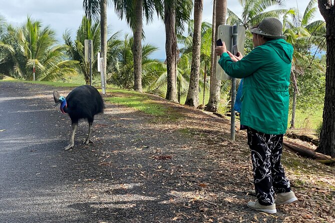 Day Tour to Waterfalls in Eungella National Park, Whitsundays  - Cairns & the Tropical North - Tour Details