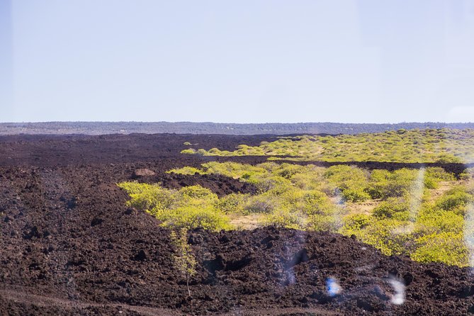 Day Trip From Oahu to Hilo: Active Volcanoes - Tour Highlights