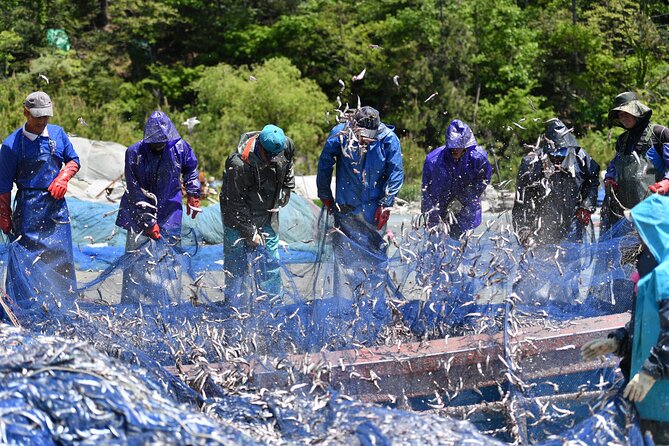 Day Trip to Beautiful Korean Marine National Park, Hallyeohaesang - Cancellation Policy