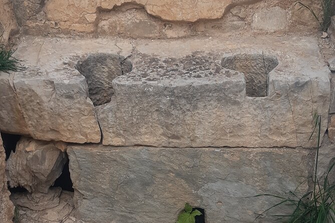 Day Trip to Dougga and Bulla Regia From Tunis - Duration: Full Day