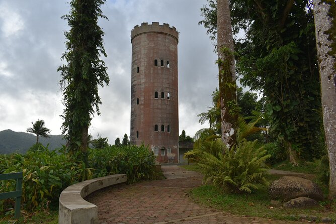 Day Trip to El Yunque Tropical Rainforest From San Juan - Positive Experiences With the Tour Guide and Driver