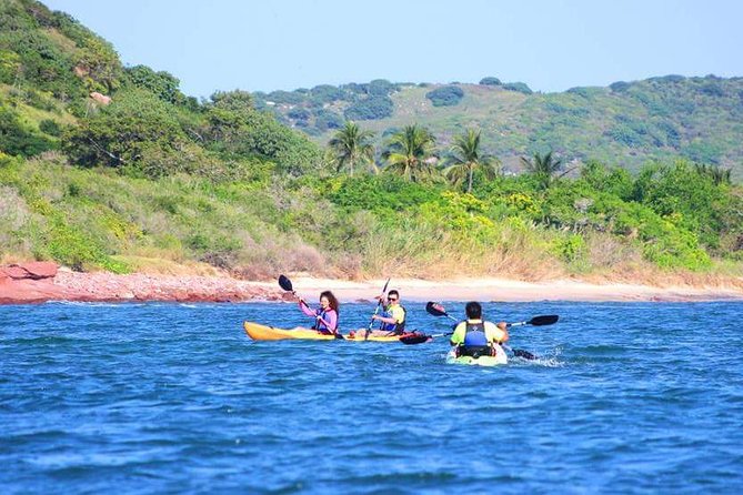 Deer Island Kayak Tour - Kayak Rental and Equipment
