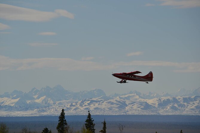 Denali Grand Flightseeing Tour From Talkeetna - Tour Overview