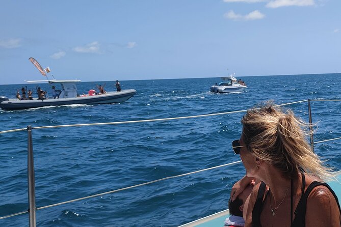Denia Sailing Trip and Lunch at the Port - Tour Pricing and Guarantee