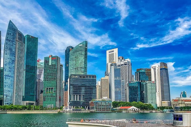 Departure Private Transfer: Singapore to Singapore Airport SIN in Luxury Car - Accessibility Information