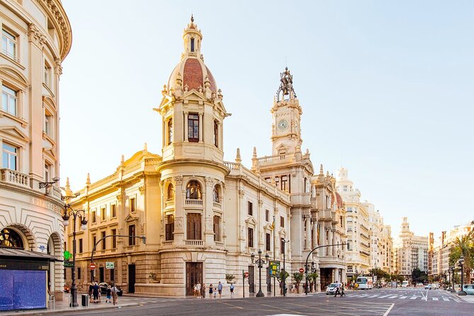 Departure Private Transfer: Valencia to Valencia Airport VLC in Luxury Van - Accessibility Information