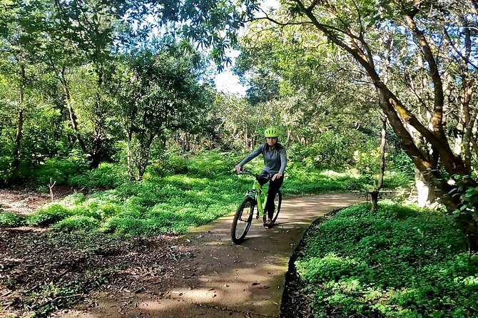 Descend in Mountain Bike in Northern Forests of Gran Canaria - Safety Precautions to Take