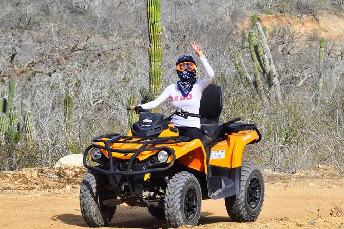 Desert and Beach ATV Tour in Los Cabos - Pricing and Value