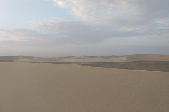 Desert Combo Safari, Camel Ride, Quad Bike and Dune Bashing(All Inclusive) - Pricing and Booking