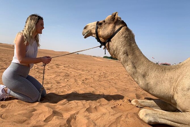 Desert Safari, Quad Bike, Sandboard, Camel Ride & VIP BBQ Dinner - Overview of the Desert Safari Experience