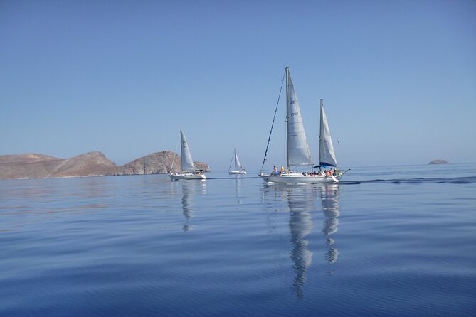 Dia Island Sailing: 5hrs Semiprivate Morning or Sunset Trip - Overview and Highlights