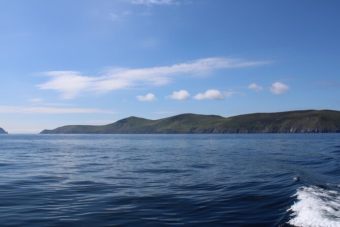 Dingle Blasket Island Adventure & Wildlife Cruise - Experience the Wild Atlantic Way