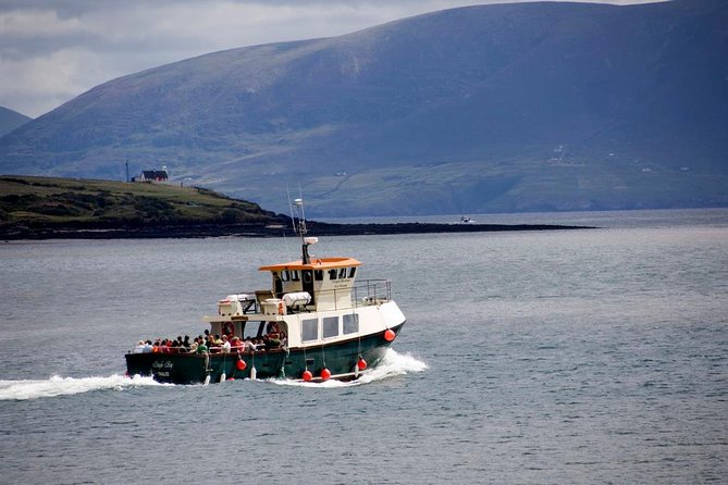 Dingle Peninsula Day Tour From Limerick: Including the Wild Altanic Way - Tour Itinerary