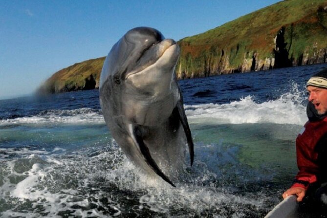 Dingle Peninsula Private Tour - Tour Highlights