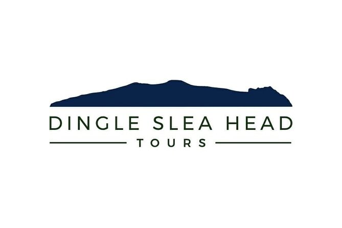 Dingle To Shannon Airport Private Chauffeur Transfer - Vehicle Equipped With Wi-Fi