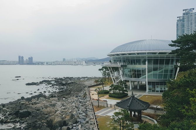 Discover Busan: A Full-Day Adventure - Pickup Information