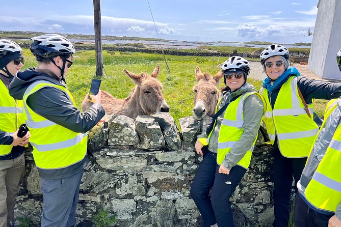 Discover Connemara Tour by Electric Fat Tyre Bike - Experience Highlights