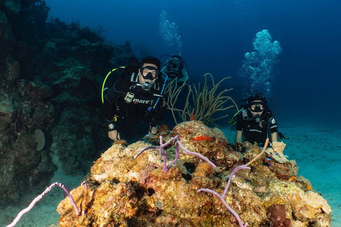 Discover Culebra: 2-Tank Scuba Diving - Experience Details