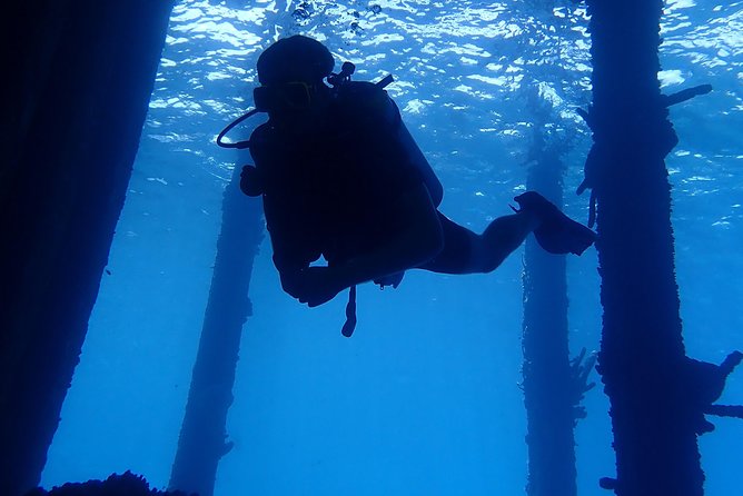 Discover Diving in Curacao - Start Time and End Point