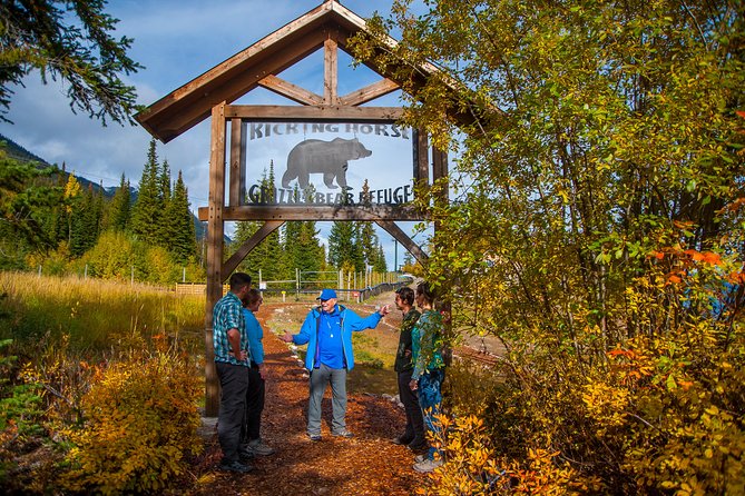 Discover Grizzly Bears From Banff - Overview of the Grizzly Bear Excursion