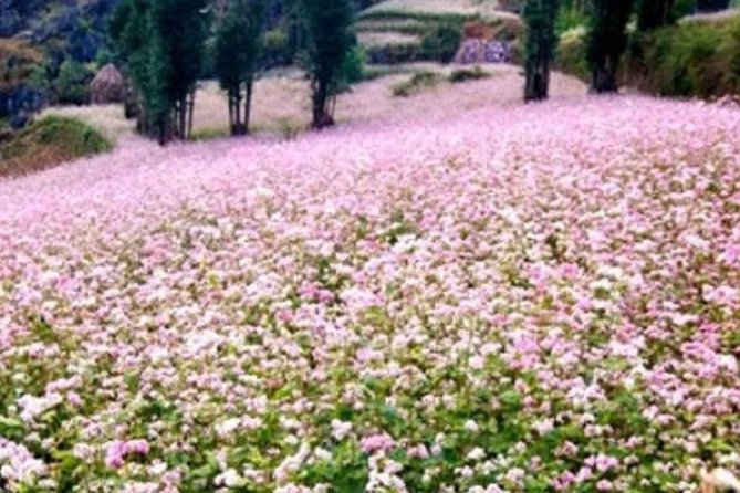 Discover Hagiang 2 Days 1 Night - Hagiangs Natural Wonders