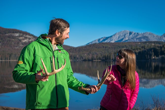 Discover Jasper and Its Wildlife - Overview and Tour Details