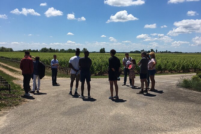 Discover Médoc the Birthplace of the 1855 Classification - Médoc: A Historical Wine Region