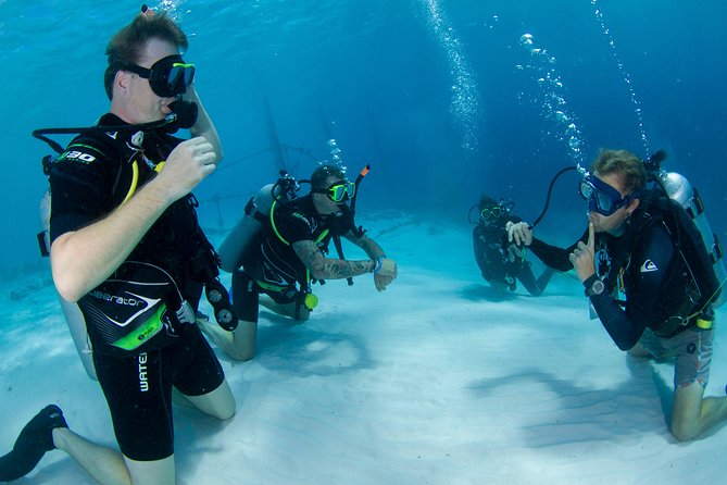 Discover Scuba Dive - Overview of Discover Scuba Dive