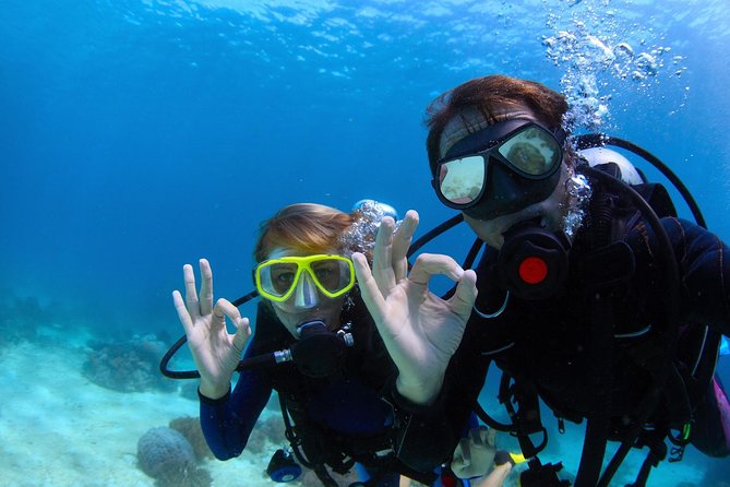 Discover Scuba Diving & Beach Club With Transportation in Riviera Maya - Overview and Inclusions