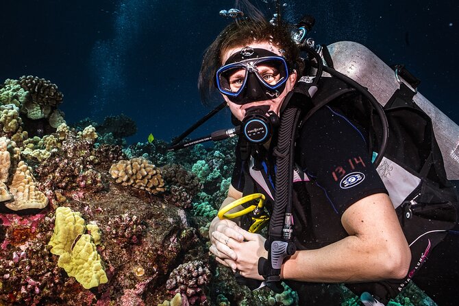 Discover Scuba Diving Class - Lahaina - Pricing and Booking Details