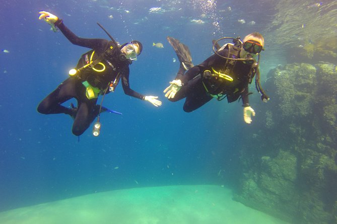 Discover Scuba Diving for Beginners With MANTA in Cabo San Lucas - Pricing and Booking Details