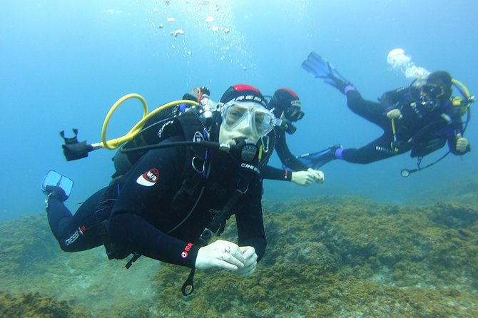 Discover Scuba Diving, Free Pictures Included - What to Expect and Additional Information